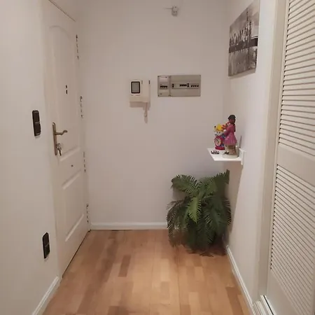 Apartamento Amplio Y Comodo En La Pza. Del Pilar *